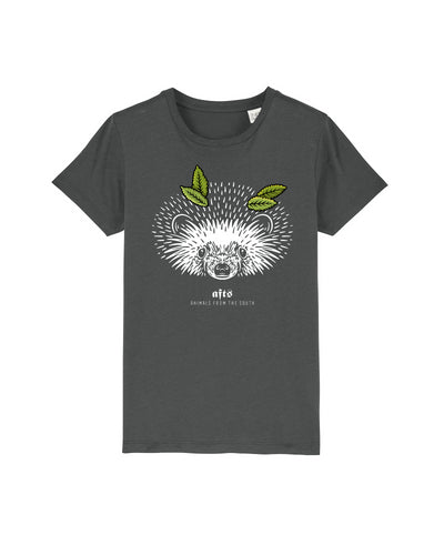 C253;Anthracite;front