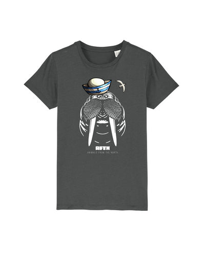 C253;Anthracite;front