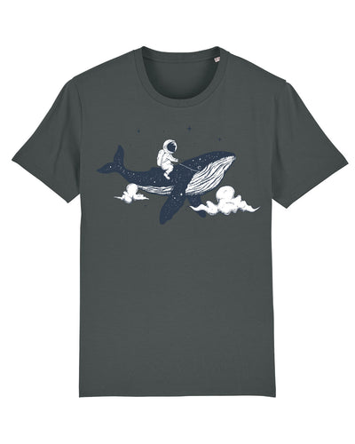 C253;Anthracite;front