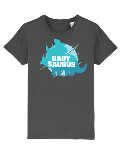 C253;Anthracite;front
