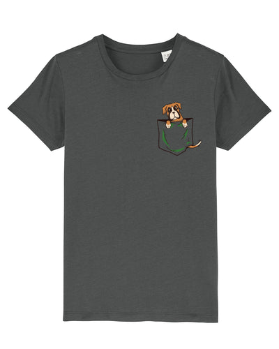 C253;Anthracite;front