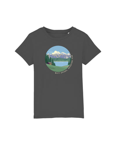 C253;Anthracite;front