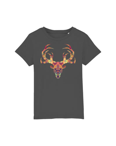 C253;Anthracite;front