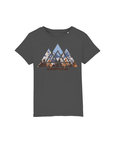 C253;Anthracite;front