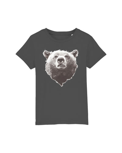 C253;Anthracite;front