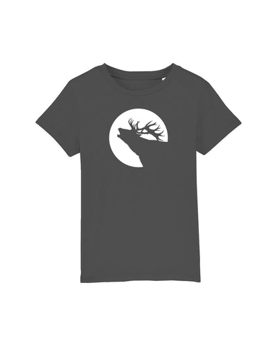 C253;Anthracite;front