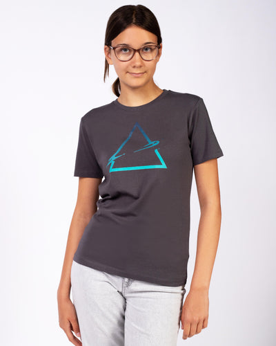 C253;Anthracite;model1