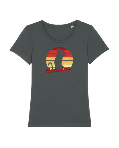 C253;Anthracite;front