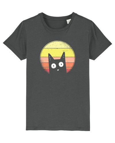 C253;Anthracite;front